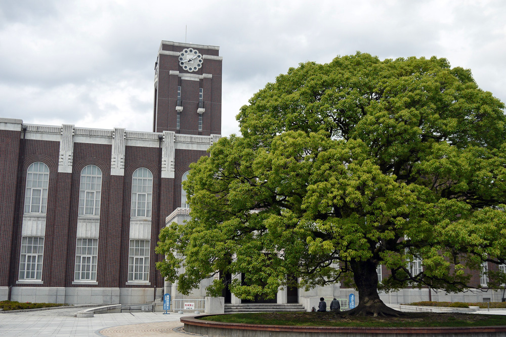 各時期の判定つき 合格体験記 京都大学工学部2年 N Tくんの場合 合格サプリ