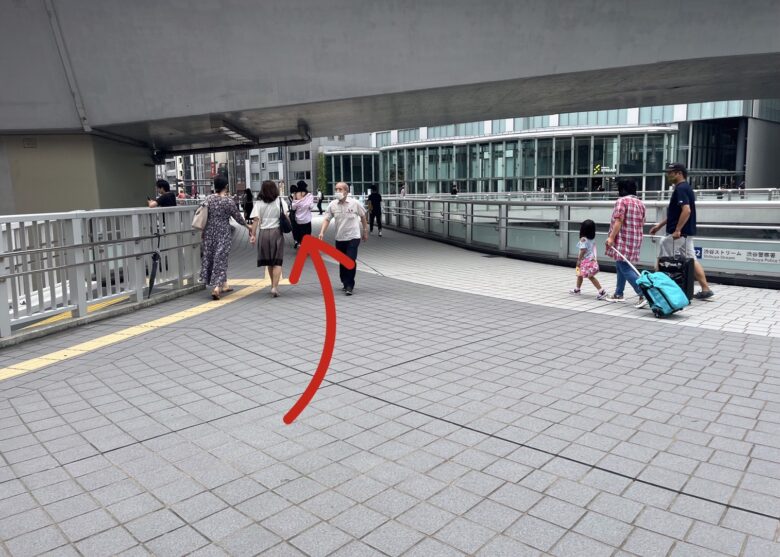 【國學院大學】絶対に迷わない！渋谷駅・表参道駅から渋谷キャンパスへの徒歩での行き方 合格サプリ